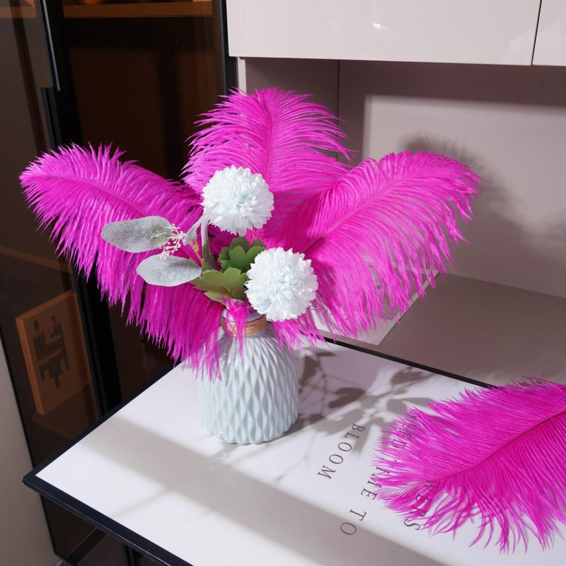 Shekyeon 16-18inch Fuchsia Ostrich Feathers DIY Craft Large Feather for Wedding Party Centerpicecs Flower Arrangement and Easter Gatsbi Decortion Pack of 10 - Image 5